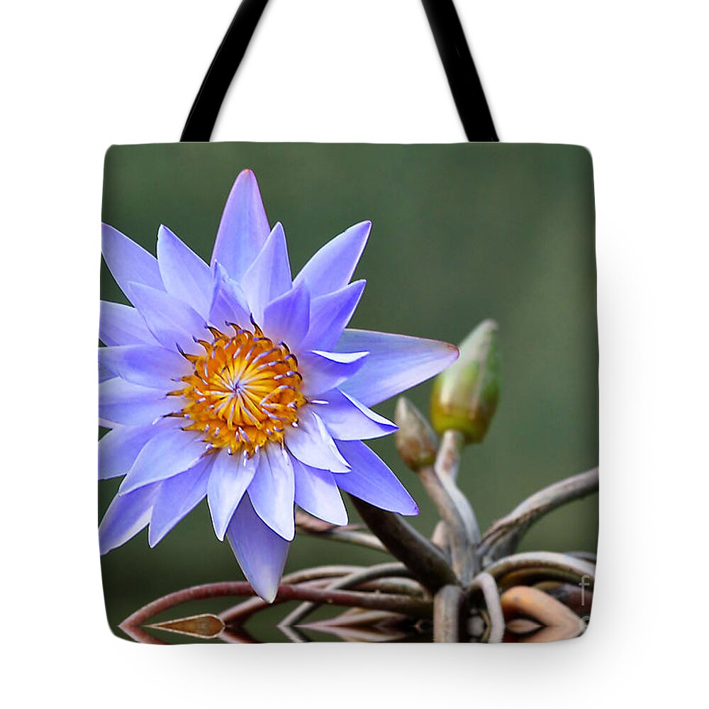 Flowers Tote Bag featuring the photograph Water Lily Reflections by Kathy Baccari
