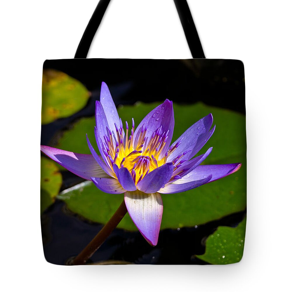 Water Lily Tote Bag featuring the photograph Water Lily by Scott Carruthers