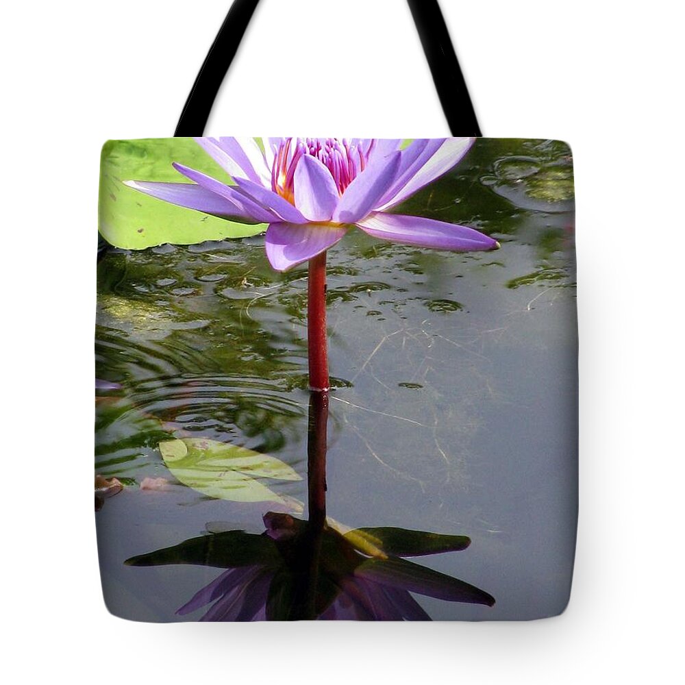 Water Lily Tote Bag featuring the photograph Water Lily - Shaded by Pamela Critchlow
