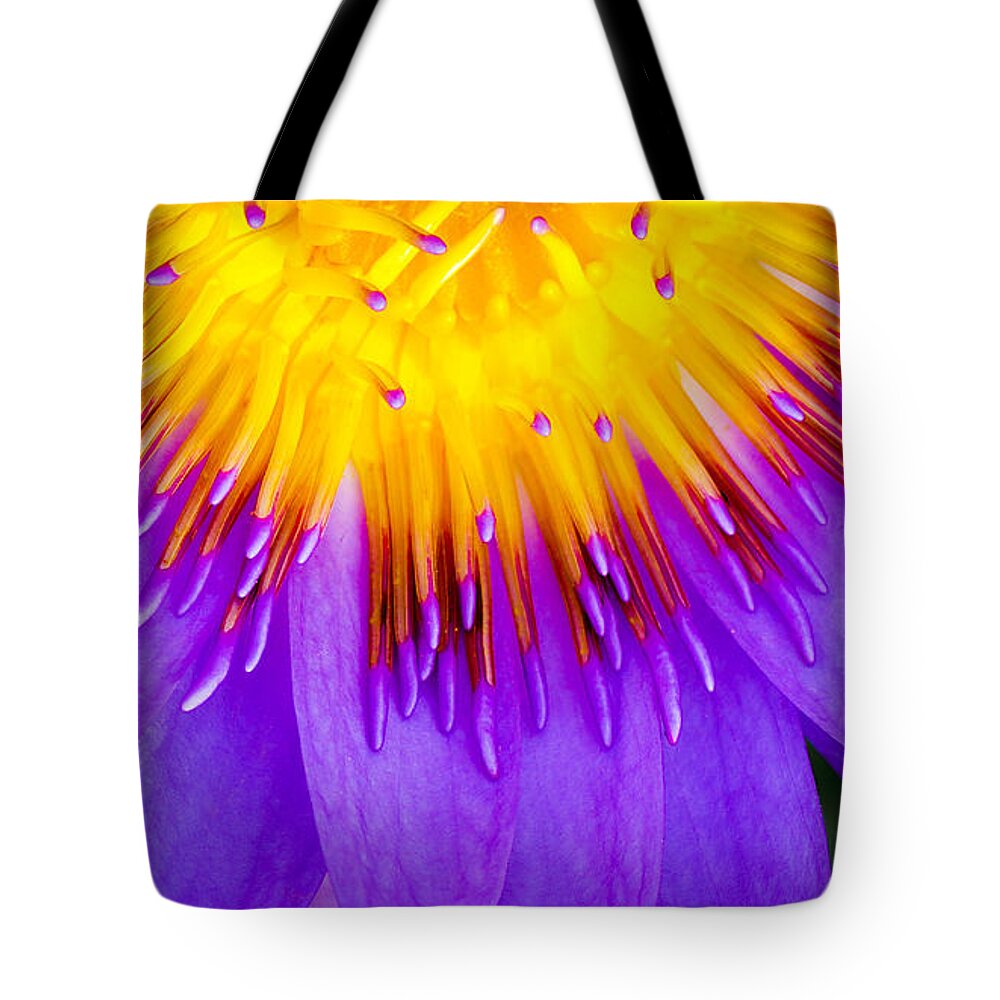  Water Tote Bag featuring the photograph Water Lily by Will Wagner