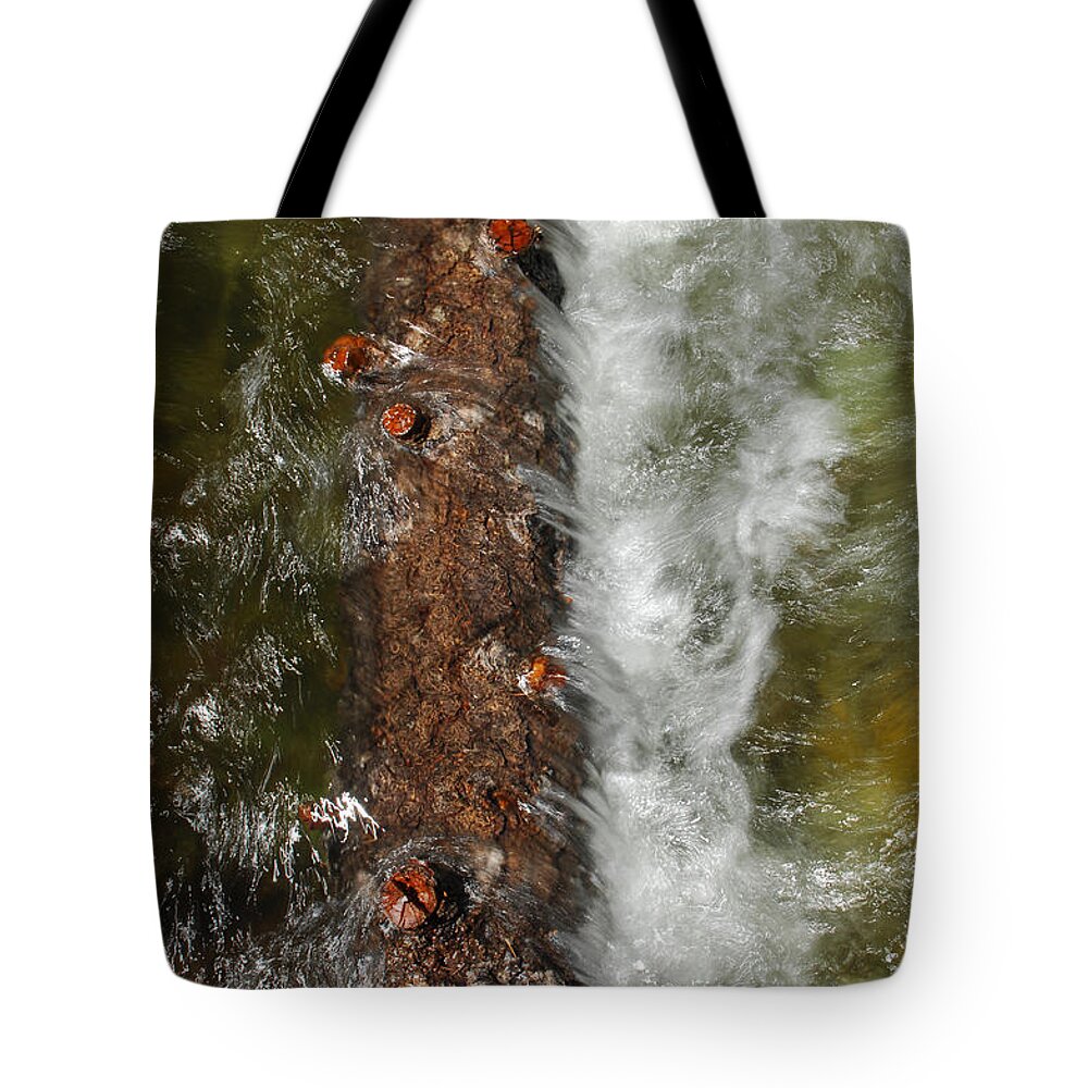 Water Tote Bag featuring the photograph Water Logged by Donna Blackhall