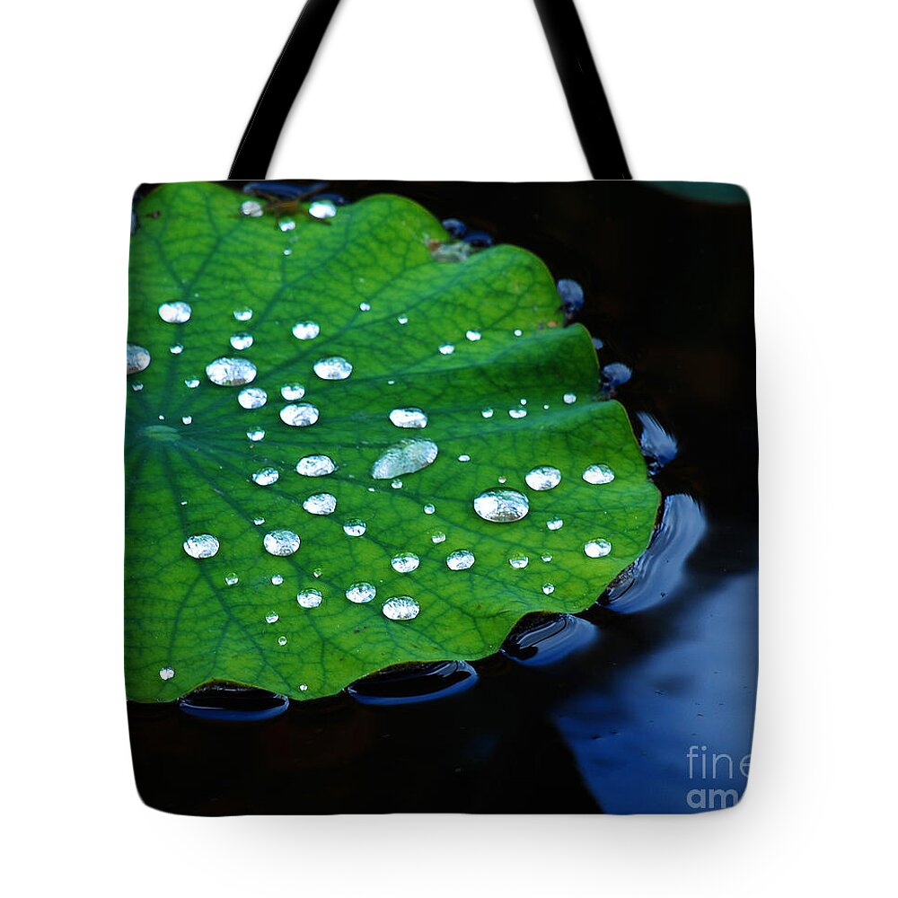 Water Tote Bag featuring the photograph Waterdrops on Lilypad by Nancy Mueller