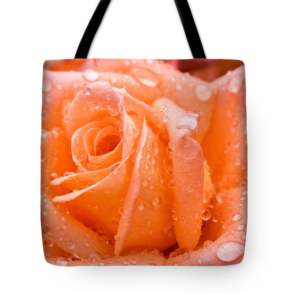 Rose Tote Bag featuring the photograph Watered Rose by Paul DeRocker