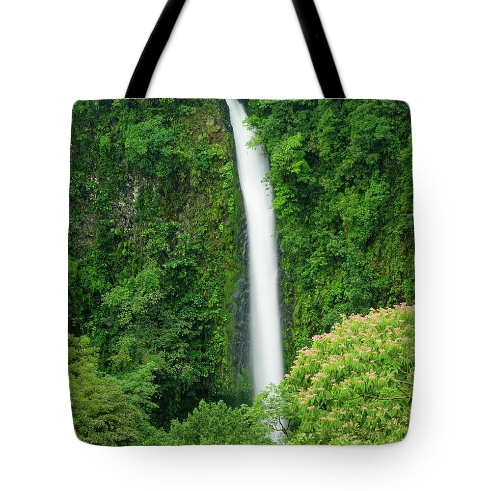 Tropical Rainforest Tote Bag featuring the photograph Waterfall In A Tropical Rainforest by Ogphoto