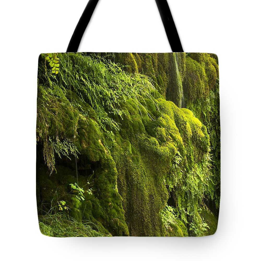 Landscape Tote Bag featuring the photograph Waterfall in green by Bryan Keil