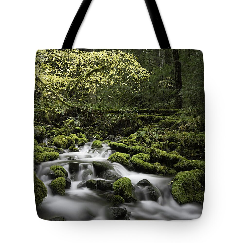 Washington State Tote Bag featuring the photograph Waterfall In The Fall by Jonathan Davison