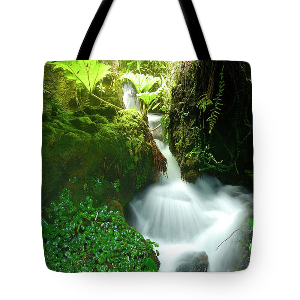 Tropical Rainforest Tote Bag featuring the photograph Waterfall In The Rainforest, Malaysia by Travelpix Ltd