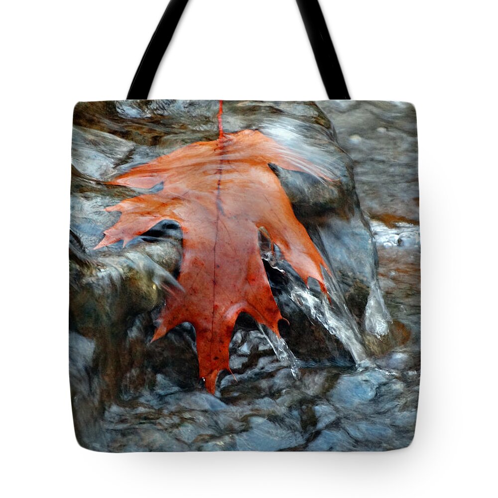 Waterfall Tote Bag featuring the photograph Waterfall Leaf by David T Wilkinson
