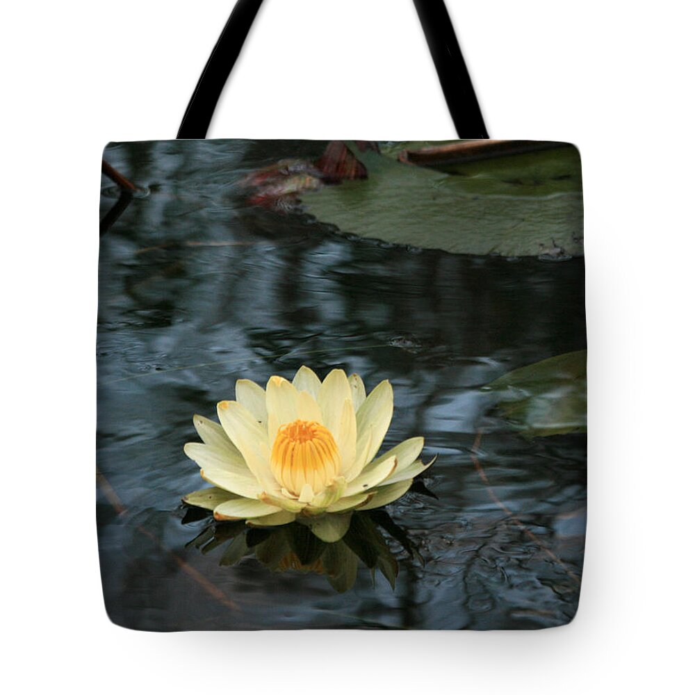 Karen Zuk Rosenblatt Art And Photography Tote Bag featuring the photograph Waterlilly 1 by Karen Zuk Rosenblatt