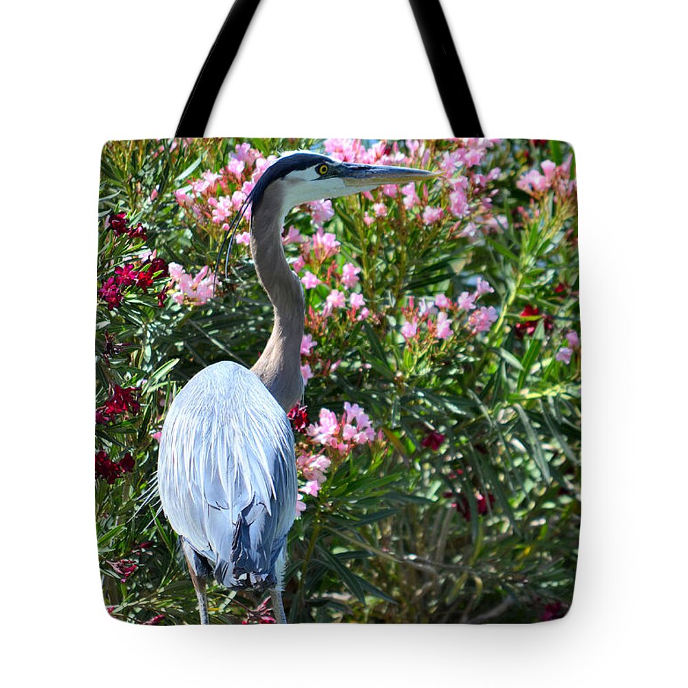 Great Blue Heron Tote Bag featuring the photograph Waters Edge by Deb Halloran