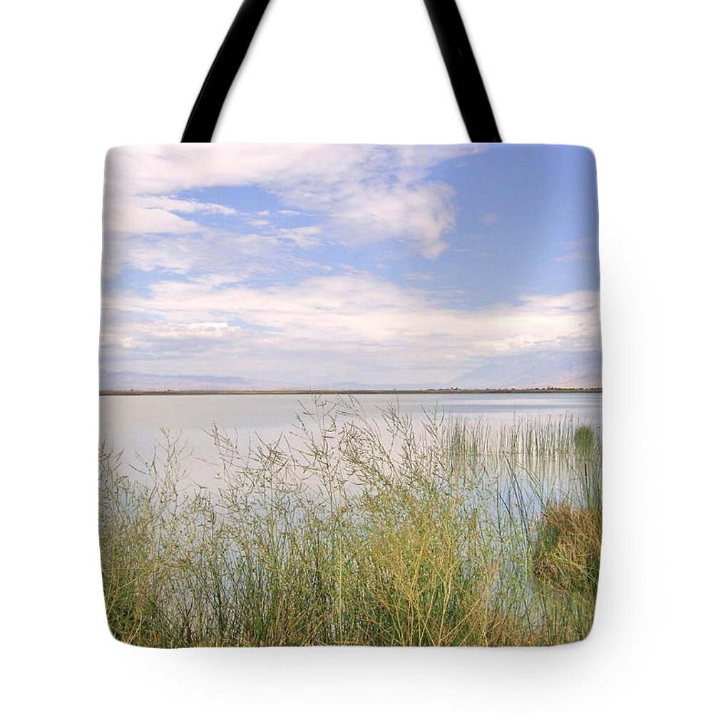 Clouds Tote Bag featuring the photograph WaterWorks by Marilyn Diaz
