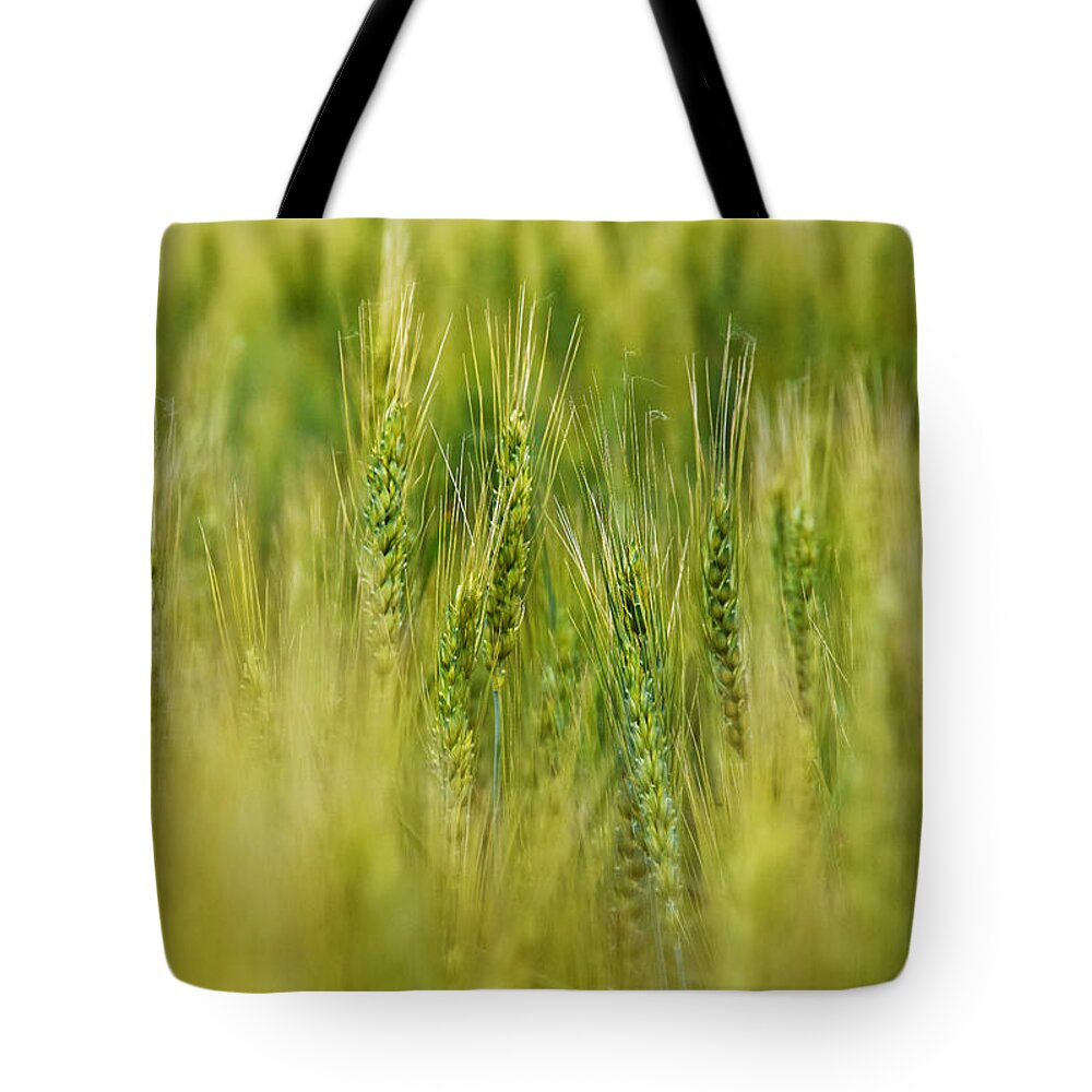 Waving Wheat Tote Bag featuring the photograph Waving Wheat by Skip Hunt