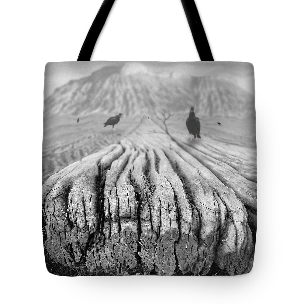 Surrealism Tote Bag featuring the photograph Weathered 3 by Mike McGlothlen