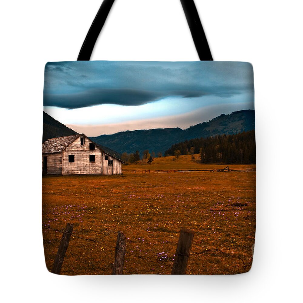 Weathered Tote Bag featuring the photograph Weathered by Sandi Mikuse