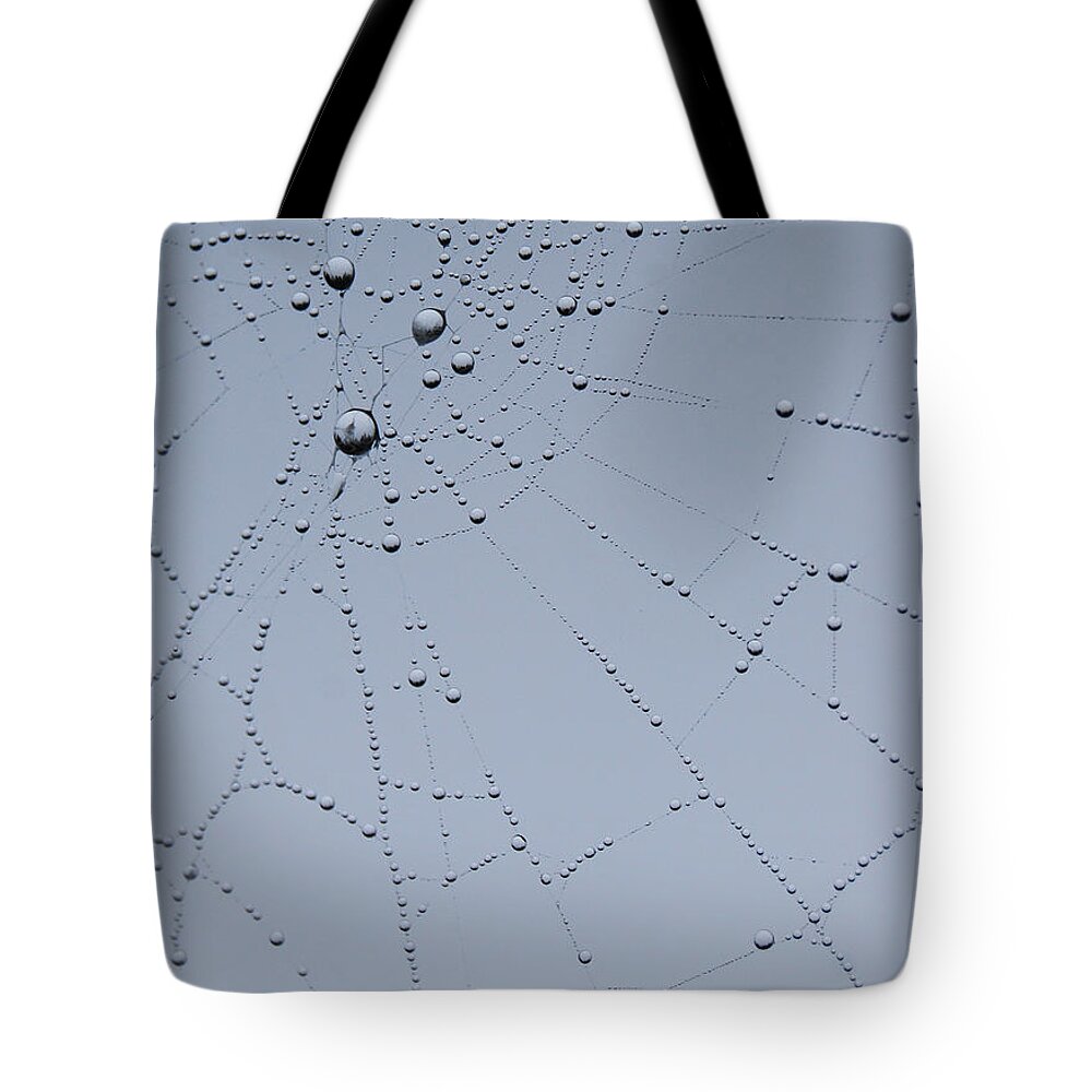 Spiderweb Tote Bag featuring the photograph Web Fractal by Jani Freimann