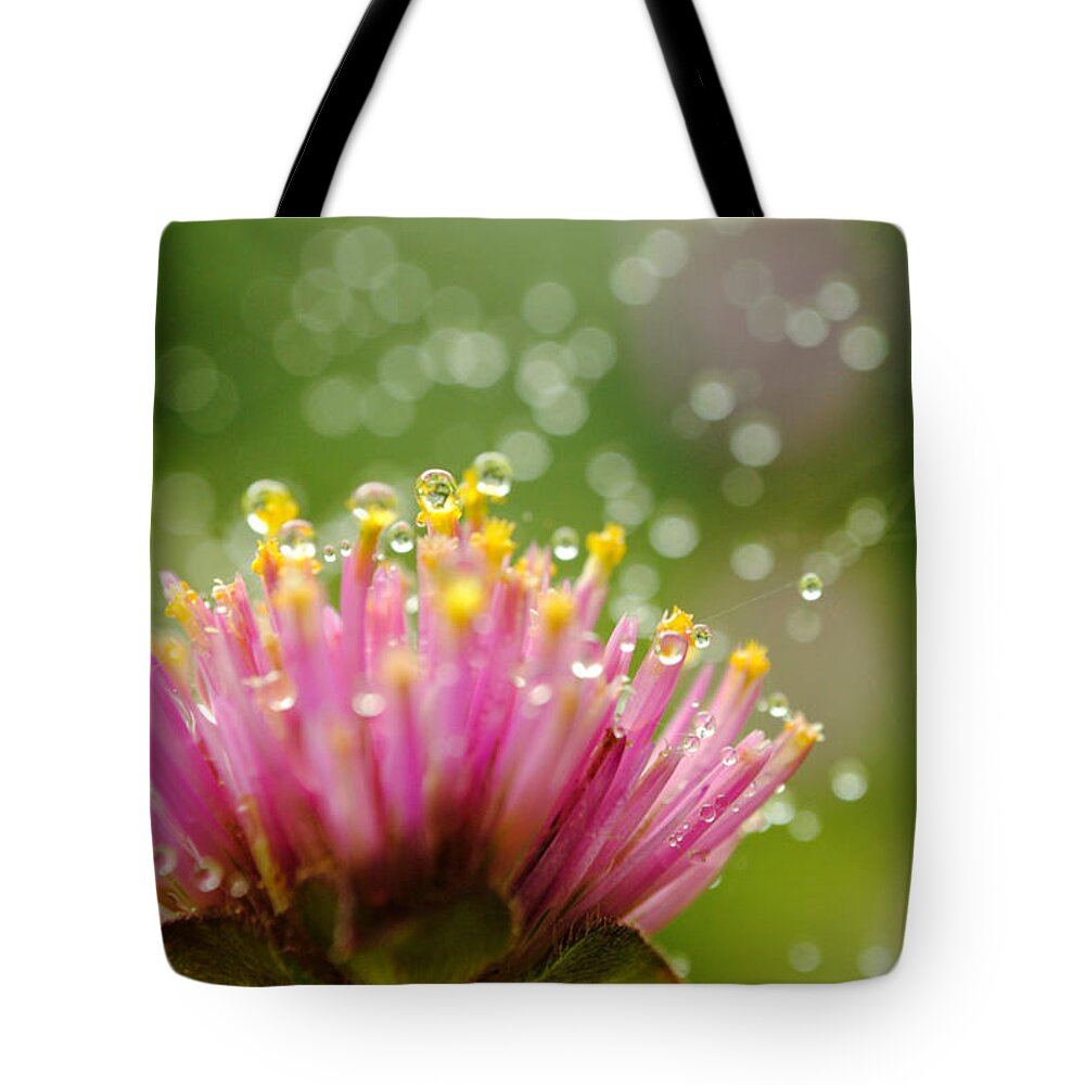 Flower Tote Bag featuring the photograph Webs and Water Whimsy by Kelly Nowak
