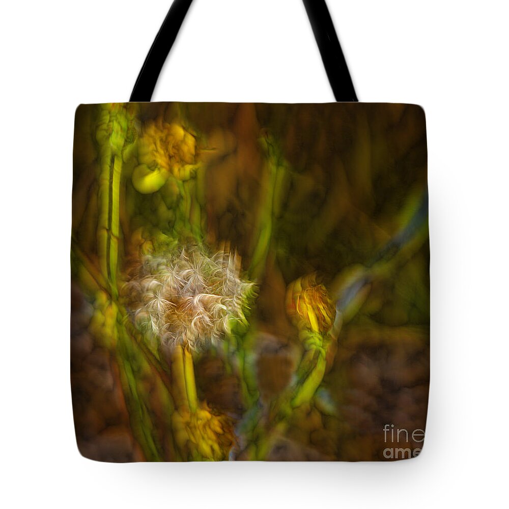 Dandelion Tote Bag featuring the photograph Weed Art by Shirley Mangini