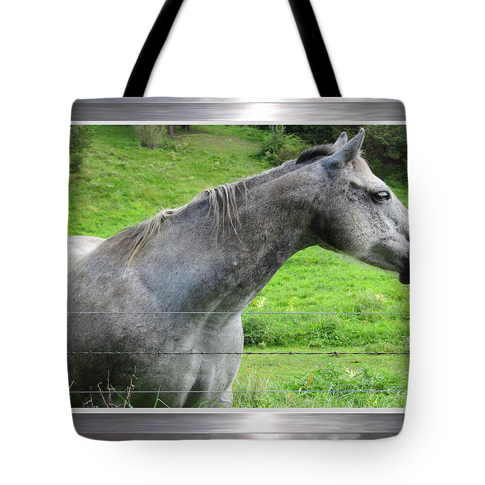 Horse Tote Bag featuring the photograph Well Framed by Tina M Wenger