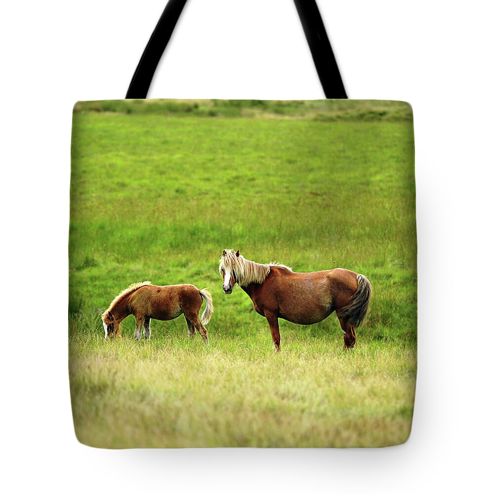 Horse Tote Bag featuring the photograph Welsh Mountain Pony And Foal by John B R Davies
