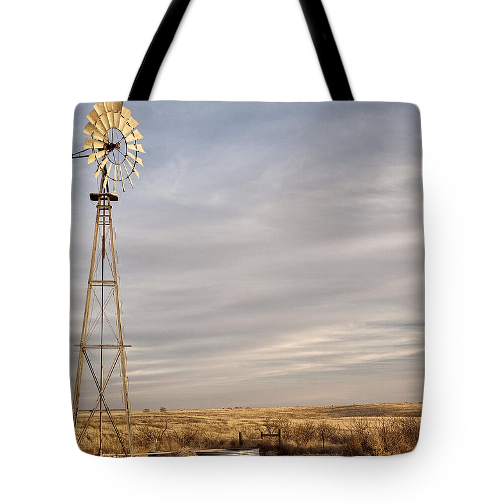 American Landmarks Tote Bag featuring the photograph West Texas Sentry by Melany Sarafis
