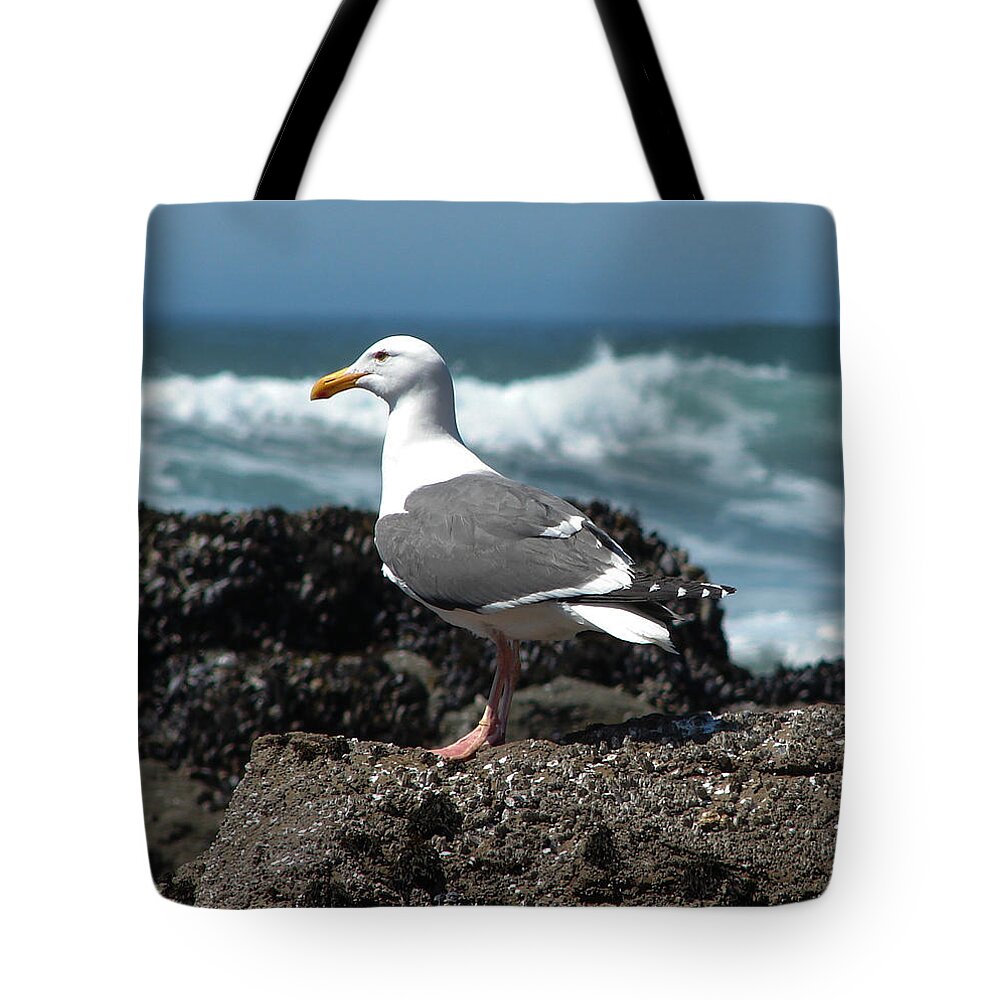Birds Tote Bag featuring the photograph Western Gull Profile by Carl Moore