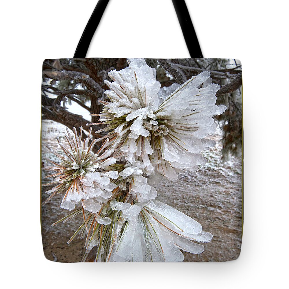 Western Christmas Card Tote Bag featuring the mixed media Western Themed Christmas Card Pine Needles and Ice by Amanda Smith