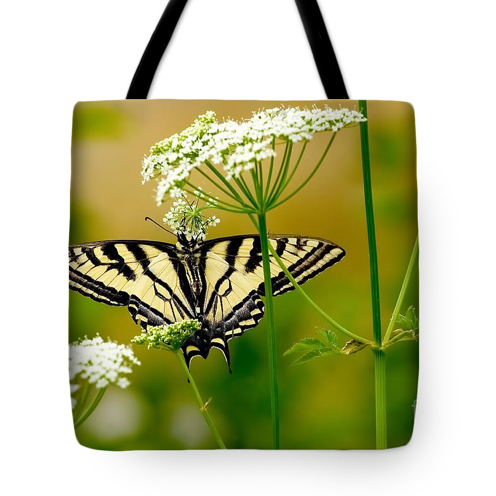 Western Tiger Swallowtail Butterfly Tote Bag featuring the photograph Western Tiger Swallowtail Butterfly by Sharon Talson