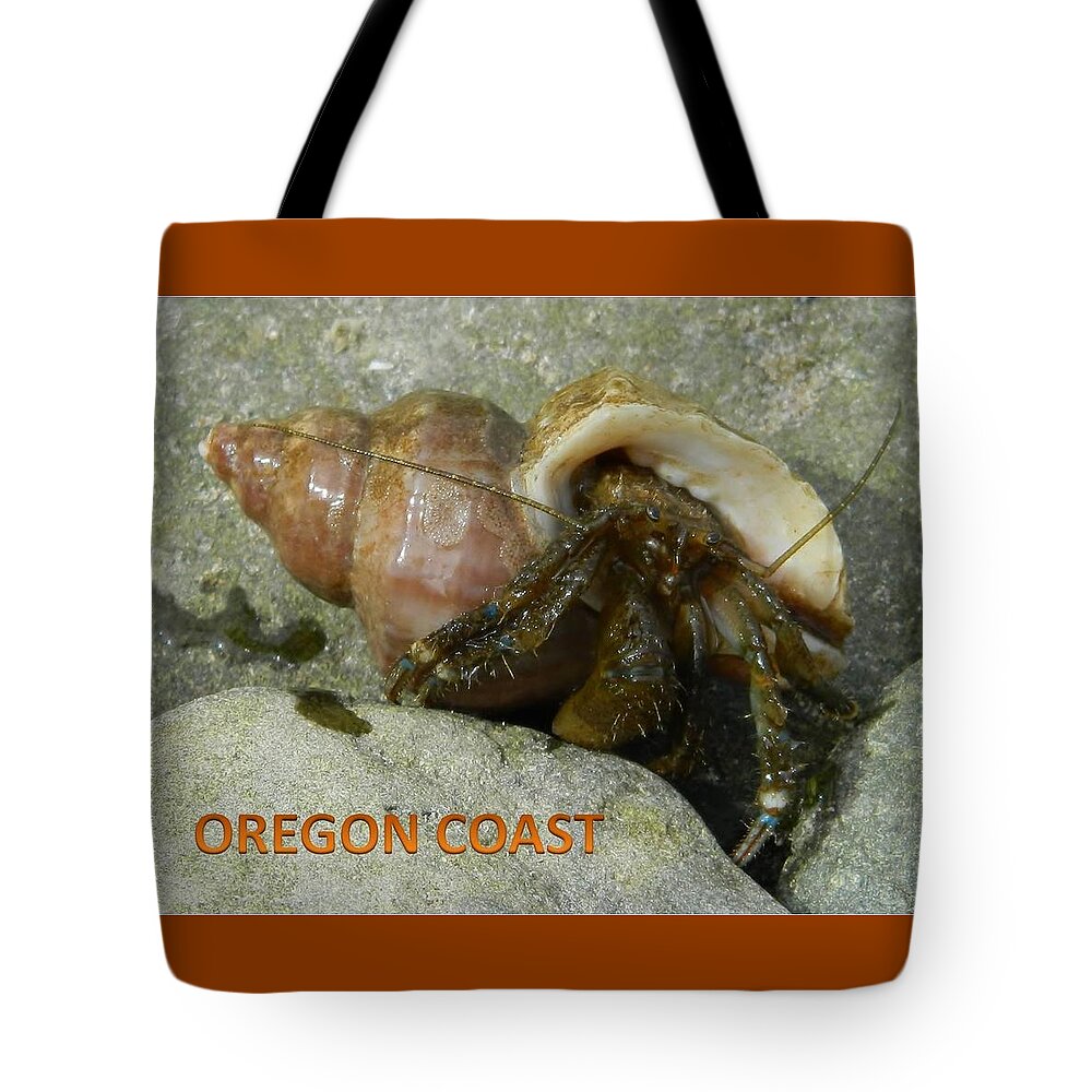 Hermit Crab Tote Bag featuring the photograph Wet Hermit Crab by Gallery Of Hope 