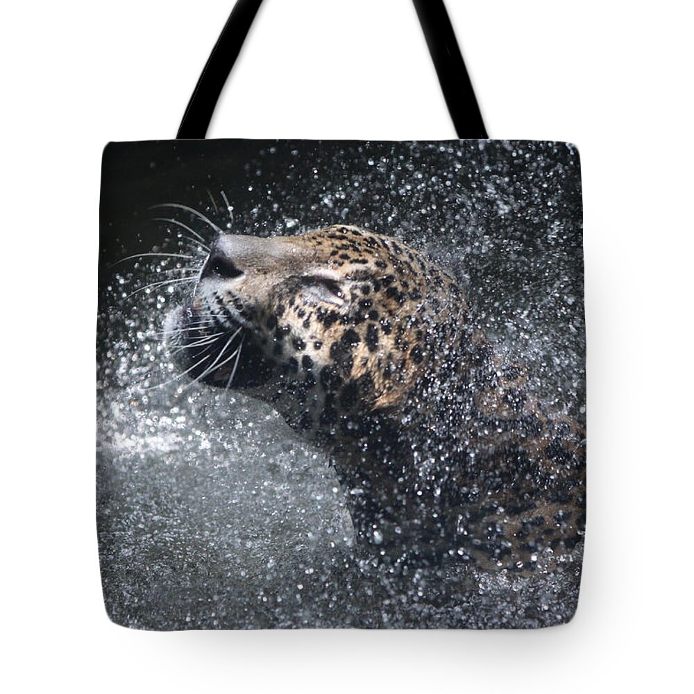 Singapore Tote Bag featuring the photograph Wet Jaguar by Shoal Hollingsworth
