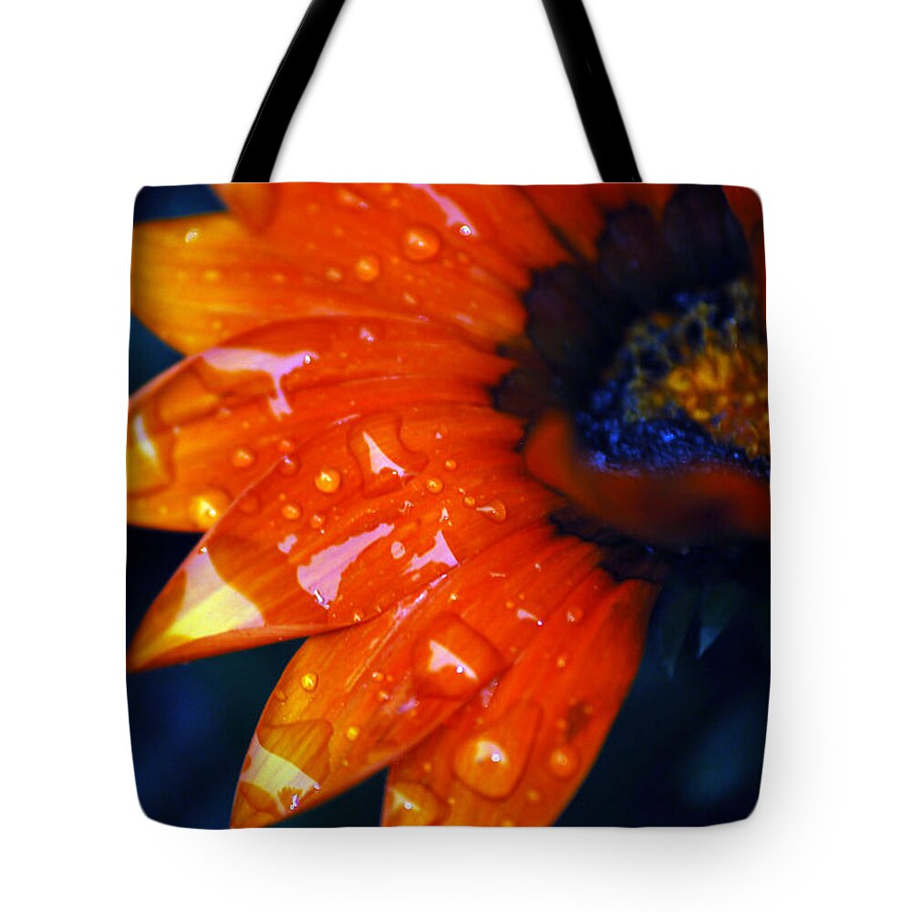 Daisy Tote Bag featuring the photograph Wet Petals by Lori Tambakis