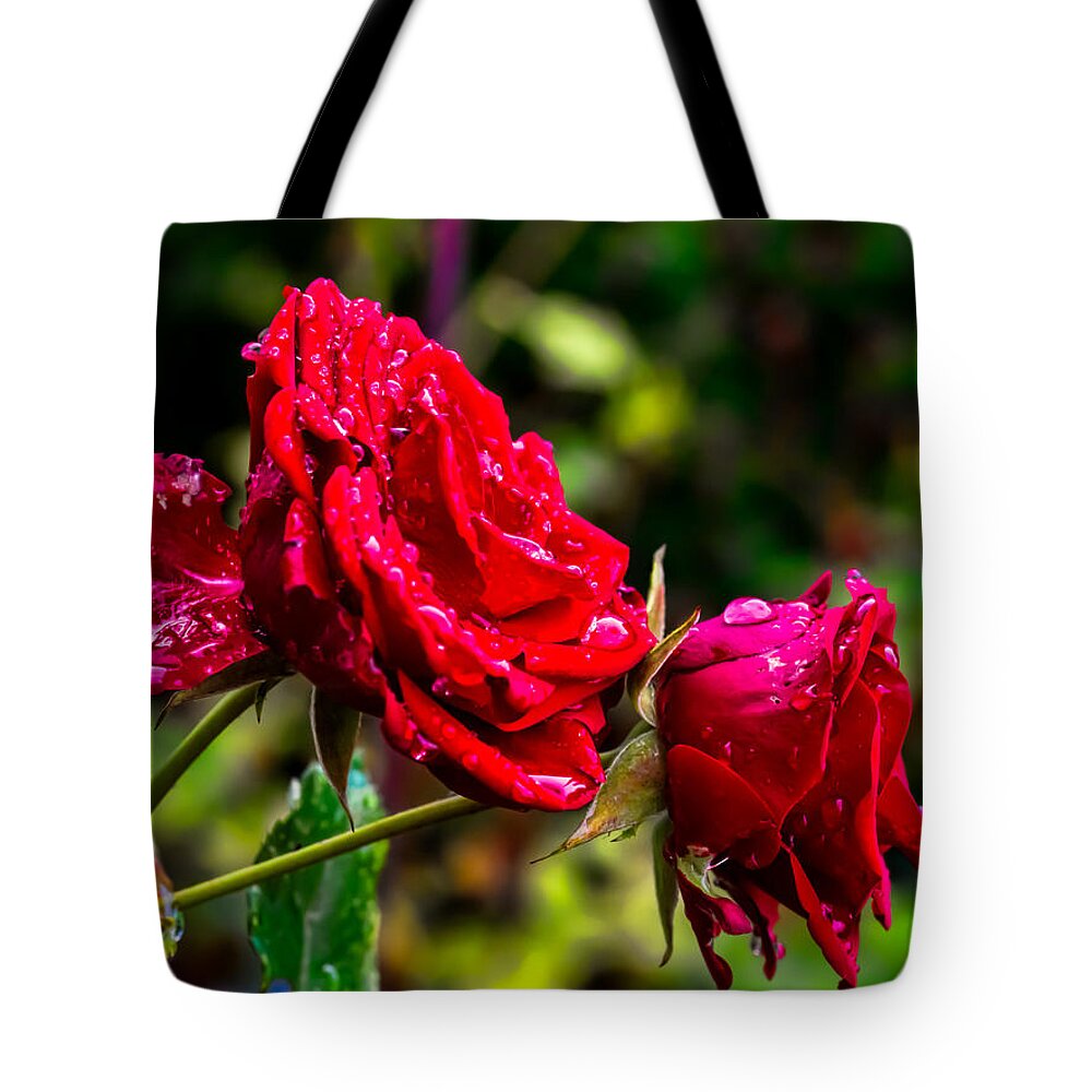  Red Photographs Tote Bag featuring the photograph Wet rose by Leif Sohlman