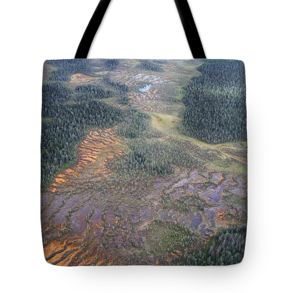 Landscape Tote Bag featuring the photograph Wetlands and Puddles II by Pekka Sammallahti