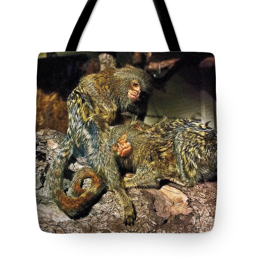 Stuart Media Servces Tote Bag featuring the photograph What are friends for by Blair Stuart