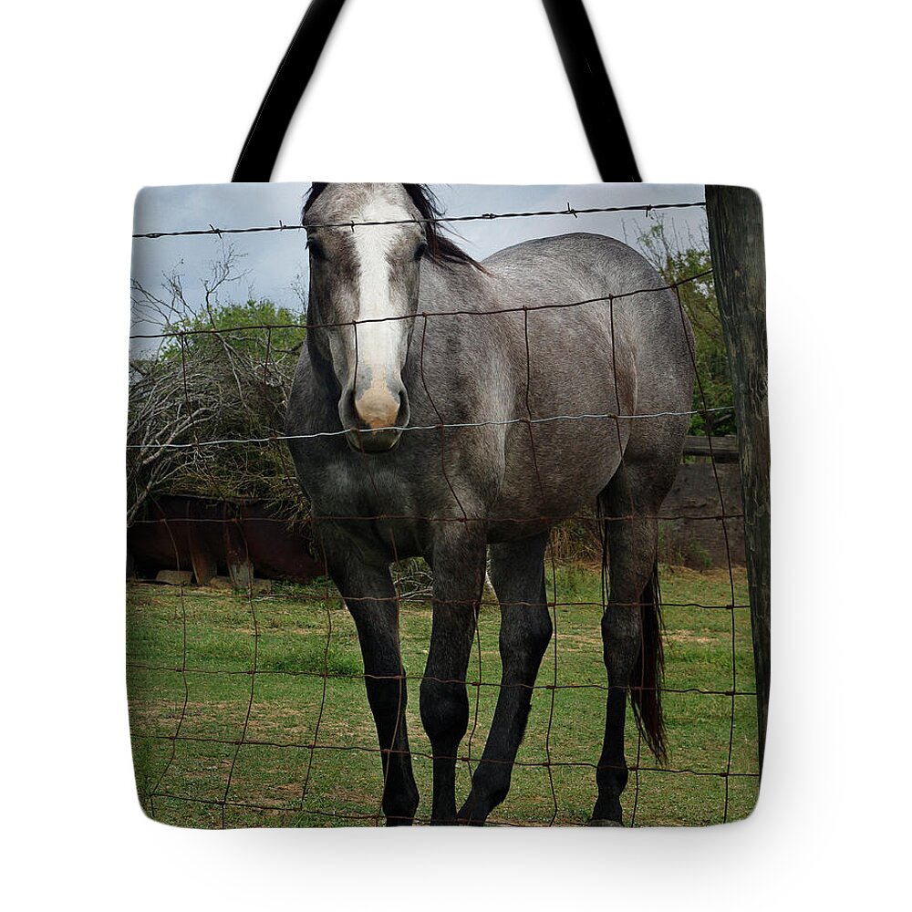 Penetrating Gaze Tote Bag featuring the photograph What Are You Afraid Of by Peter Piatt
