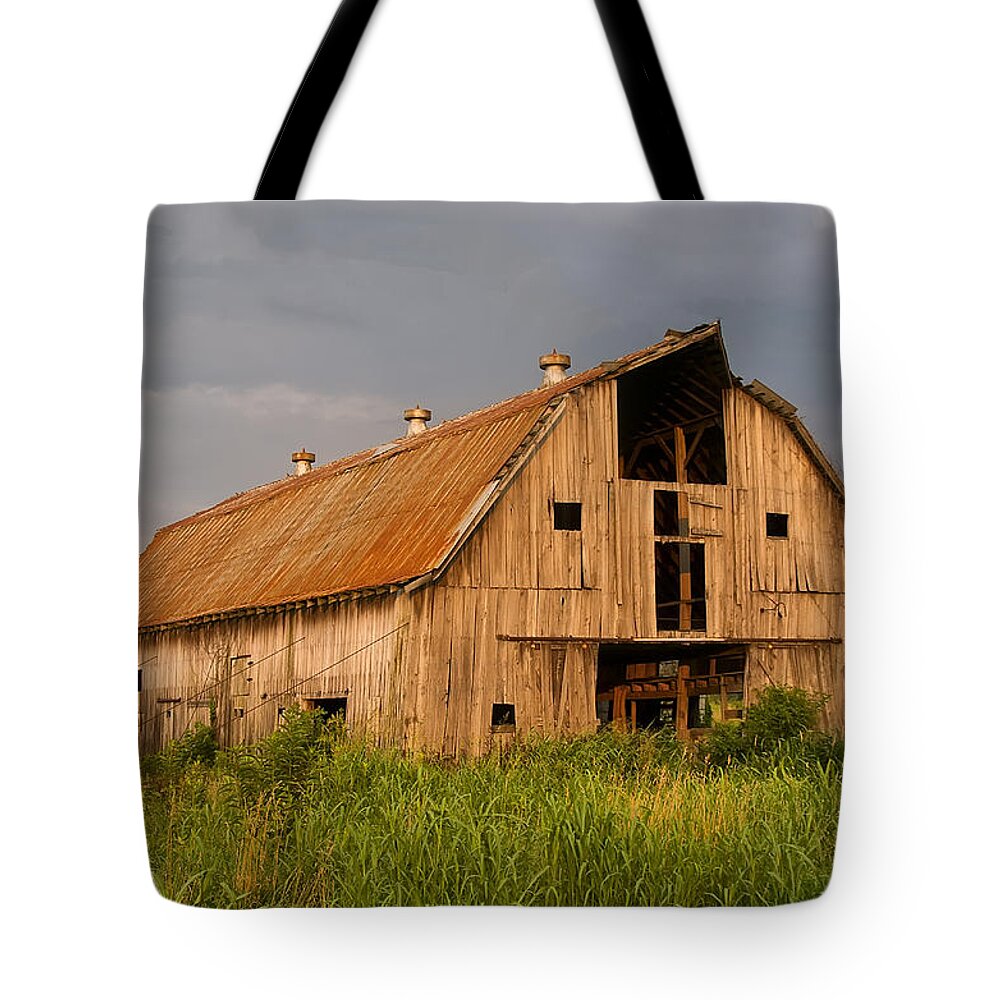 Landscape Tote Bag featuring the photograph What Happened To The American Dream by Flees Photos