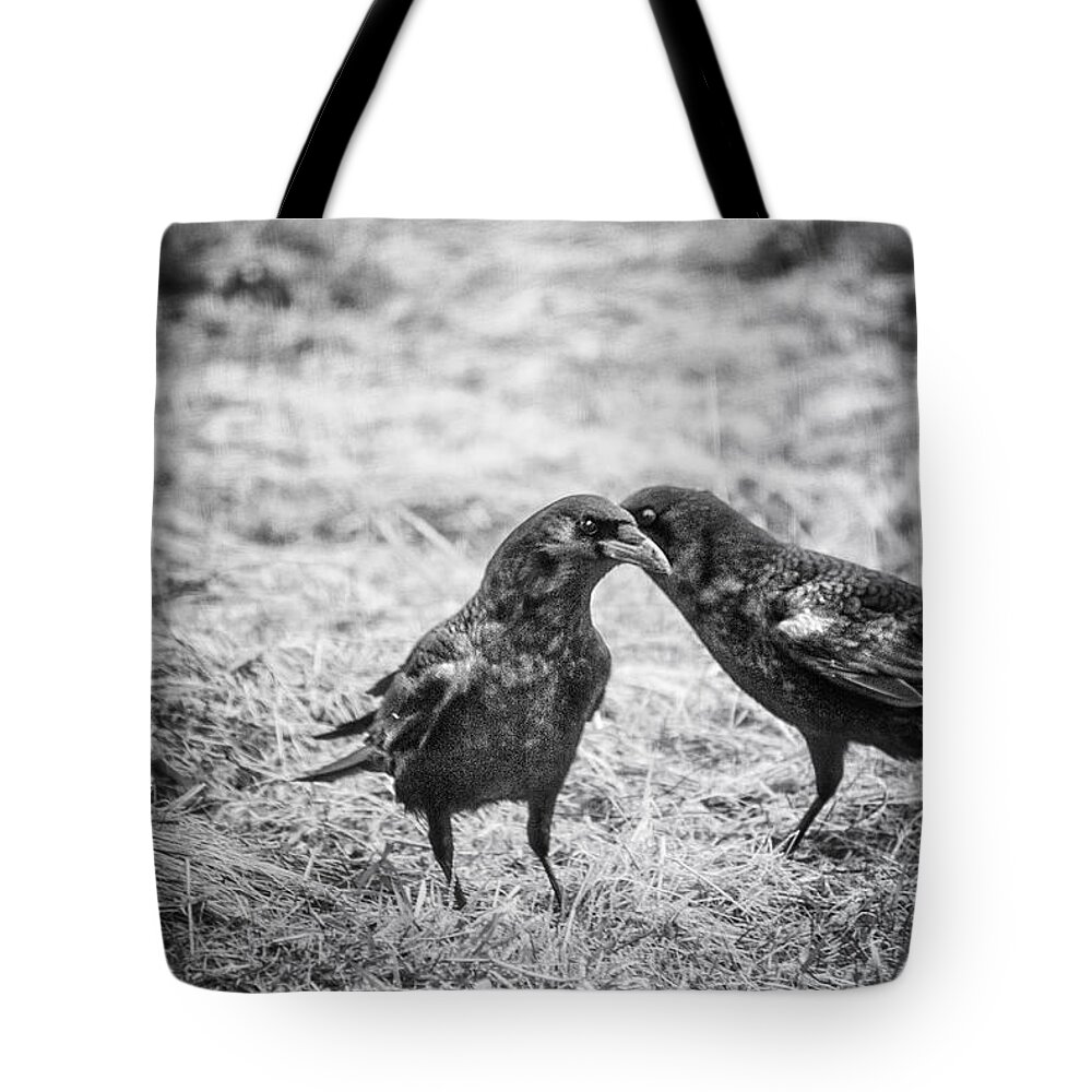 Raven Tote Bag featuring the photograph What the Raven Said by Sue Capuano