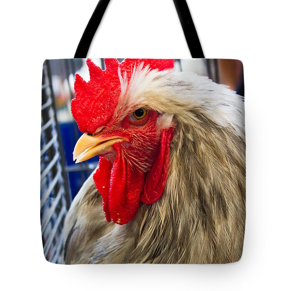 Chicken Tote Bag featuring the photograph Whatchu Looking At by Christie Kowalski