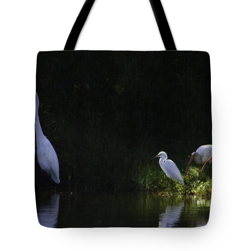 Alligator Tote Bag featuring the photograph What's for Lunch by Dale Powell