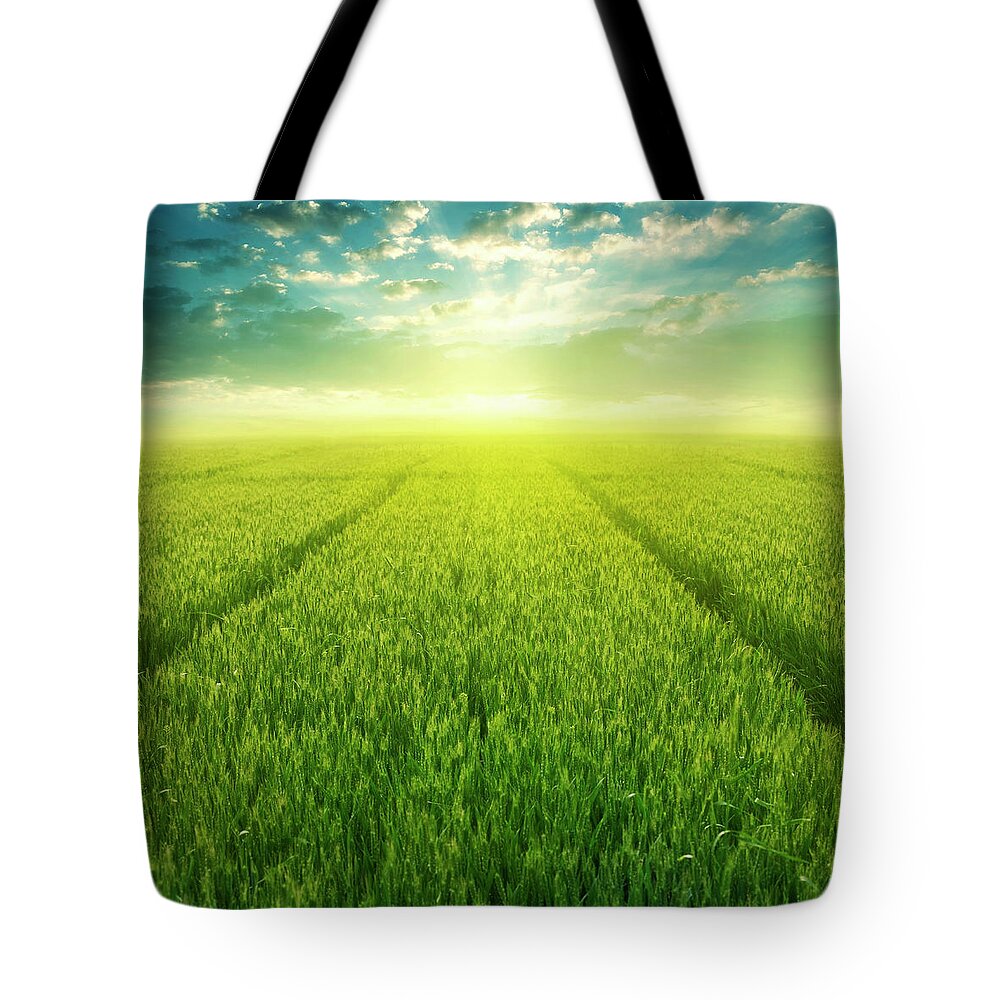 Scenics Tote Bag featuring the photograph Wheat Field by Ithinksky