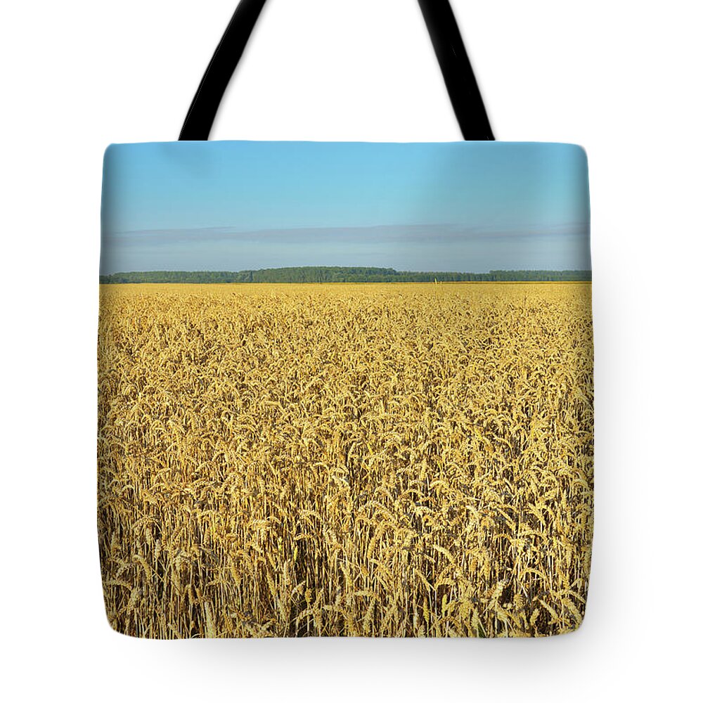 Outdoors Tote Bag featuring the photograph Wheat Field by Raimund Linke