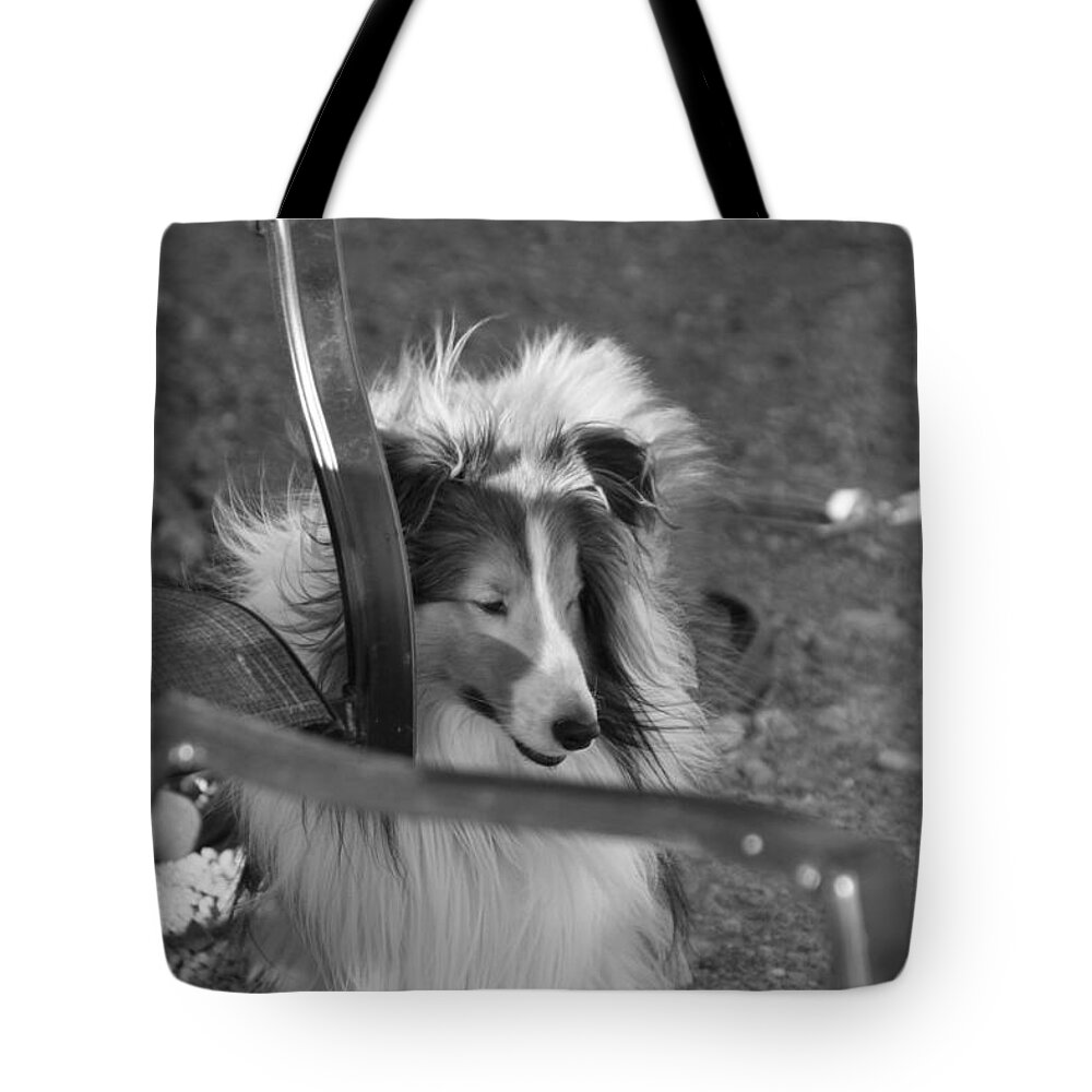 David S Reynolds Tote Bag featuring the photograph Wheeler by David S Reynolds