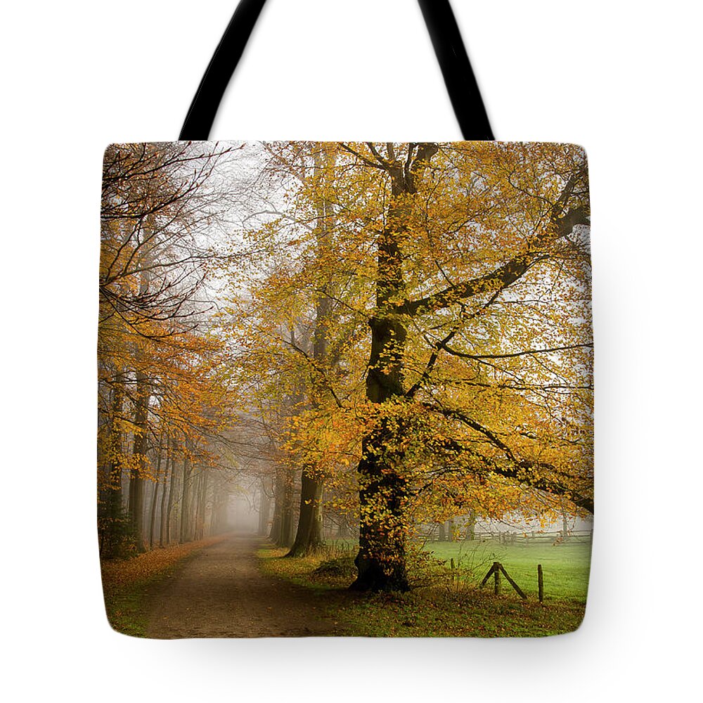 Tranquility Tote Bag featuring the photograph When Fall Leaves by Bob Van Den Berg Photography