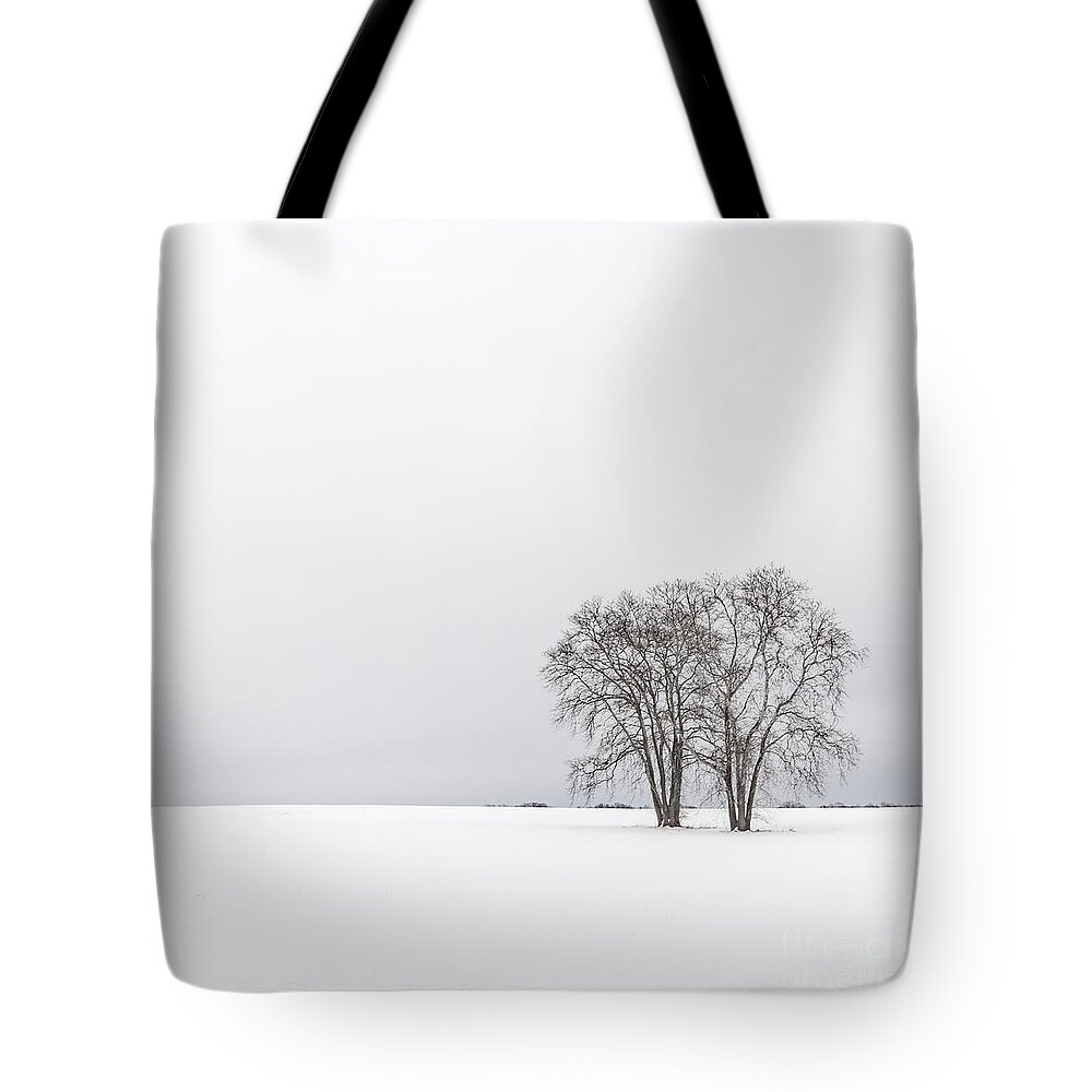 Kremsdorf Tote Bag featuring the photograph When Silence Fell by Evelina Kremsdorf
