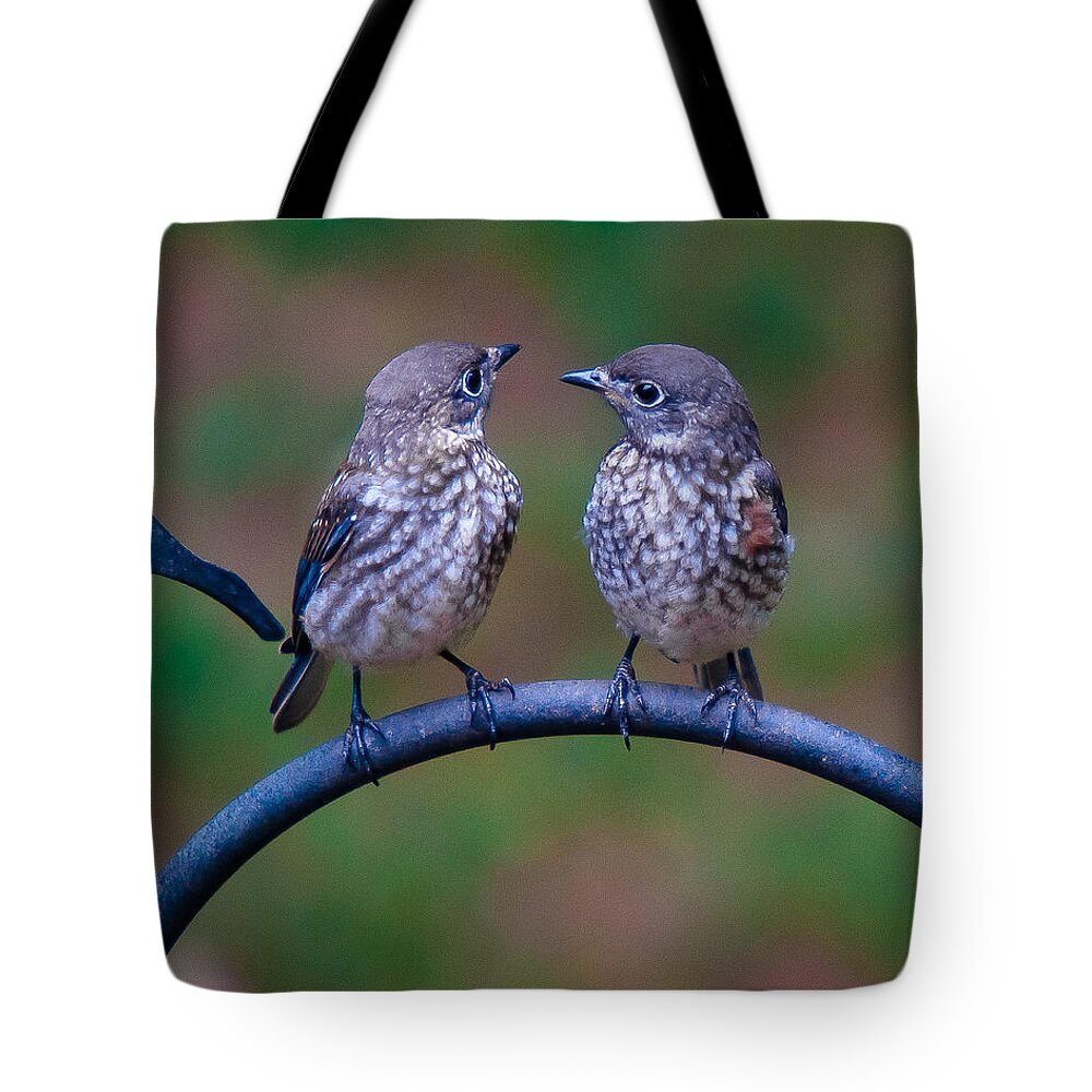 Bluebird Tote Bag featuring the photograph When's Dad Coming Back? by Robert L Jackson