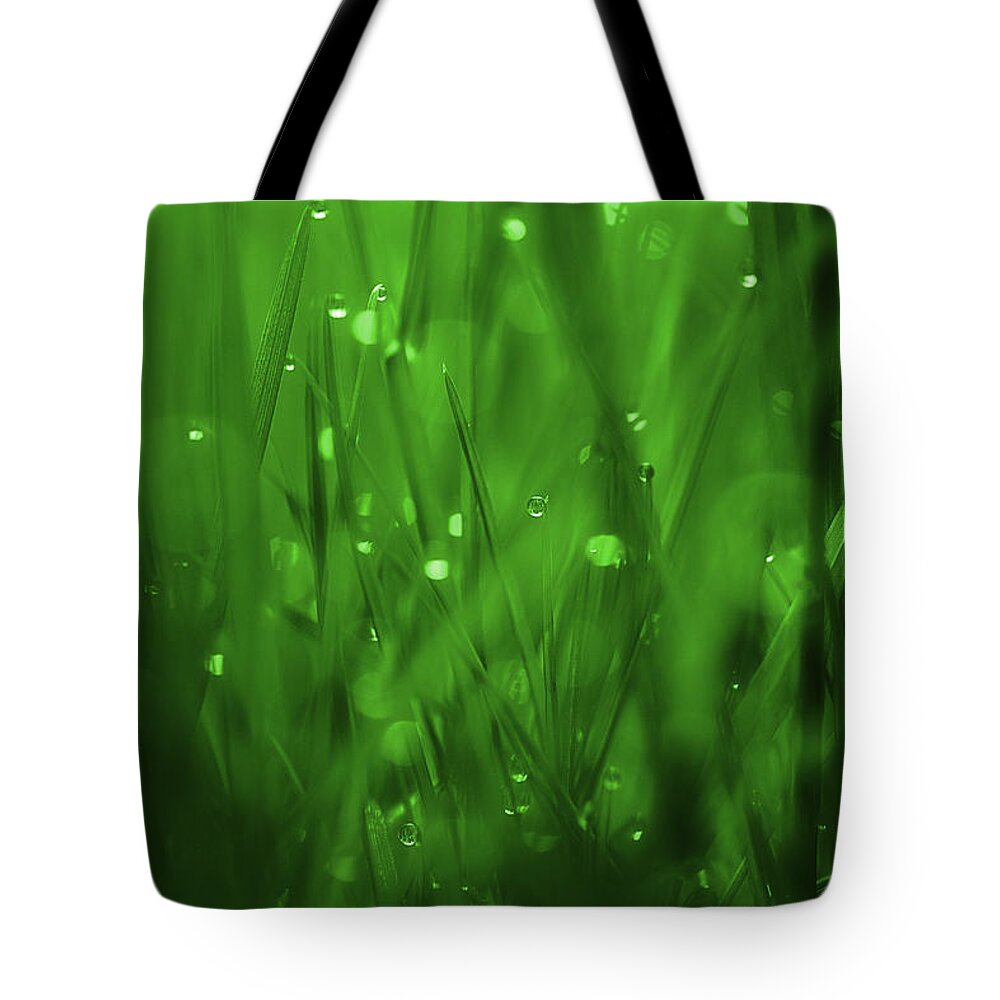Grass Tote Bag featuring the photograph Where Dreams Begin by Michael Eingle