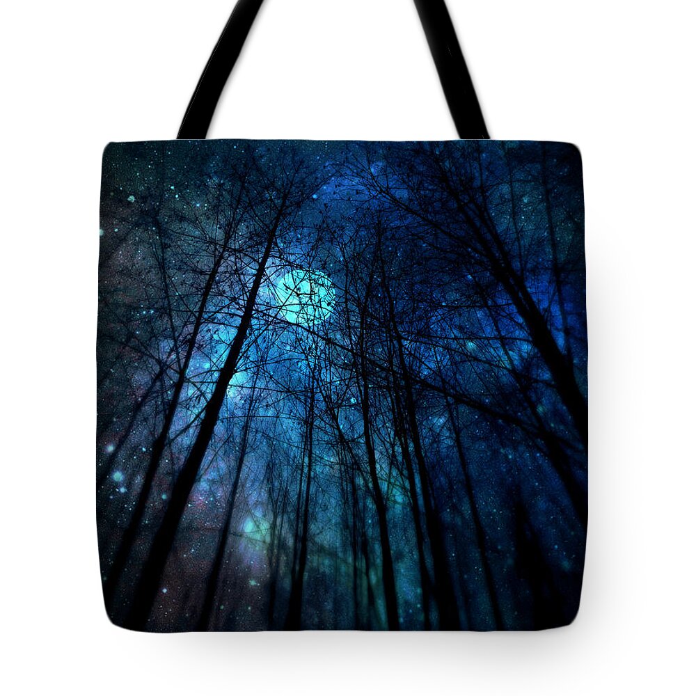Where The Faeries Meet Tote Bag featuring the photograph Where the Faeries Meet by Micki Findlay