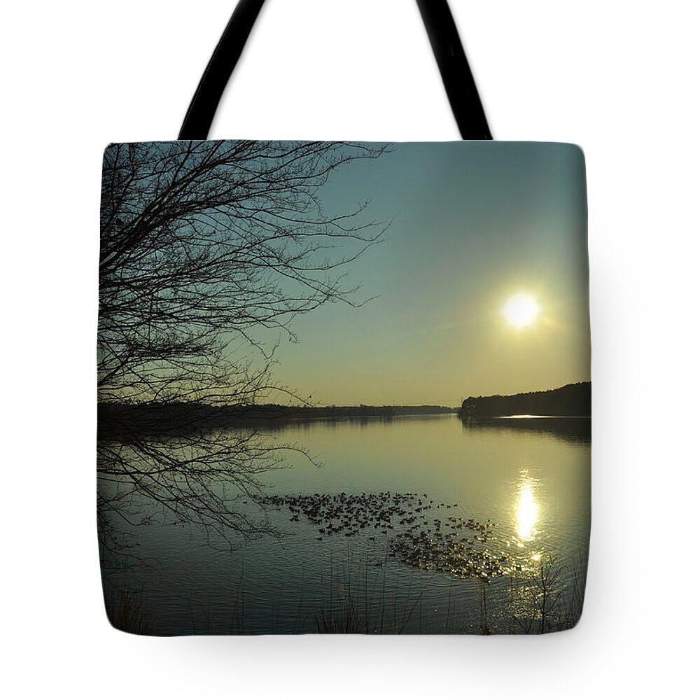 Popular Tote Bag featuring the photograph Where The Wild Ducks Play At Eventide by Paulette B Wright