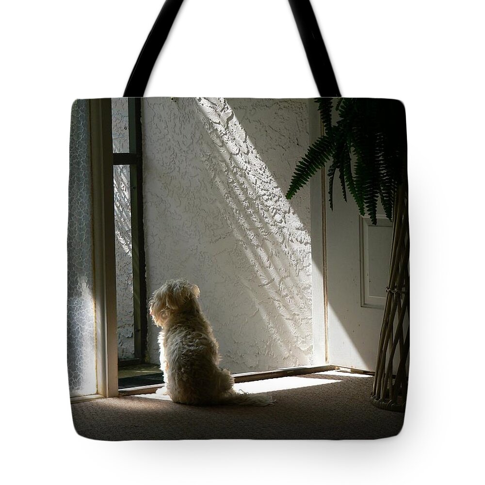 Dogs Tote Bag featuring the photograph Where's Dad by Rosalie Scanlon