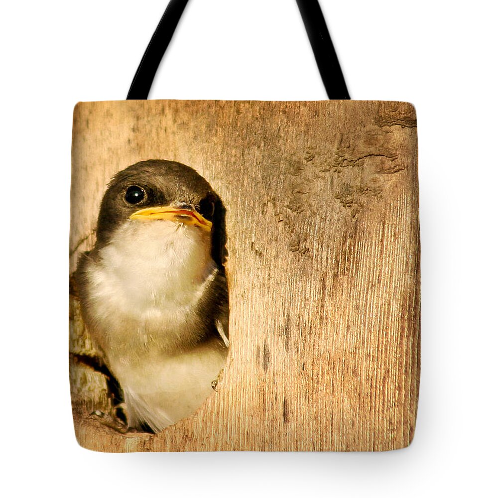 Bird Tote Bag featuring the photograph Wheres Dinner by Jean Noren