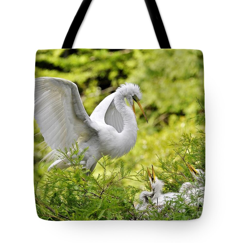 Egret Tote Bag featuring the photograph Where's Our Lunch Ma by Kathy Baccari